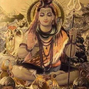 Pineal Glands
