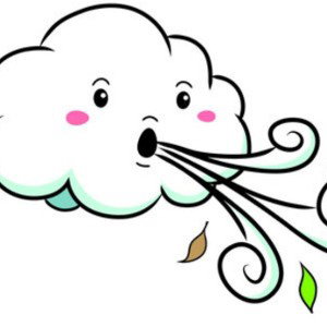 Windy