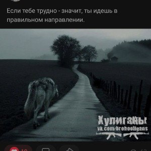 бывает в жизни всякое