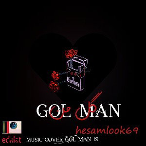 hesamlook69