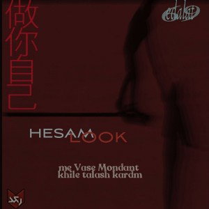 Hesam.look