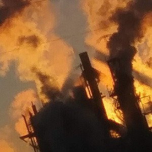 RAT
