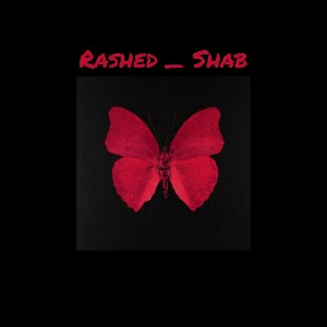 Rashed _ Shab 🦋