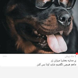 علی رکسا