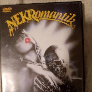 Nekromantiker sind die romantischsten Ficker