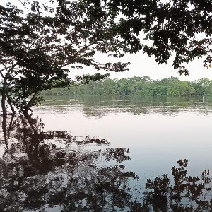 Deriva