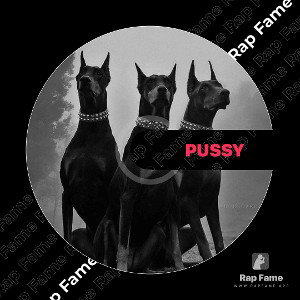 pussy 