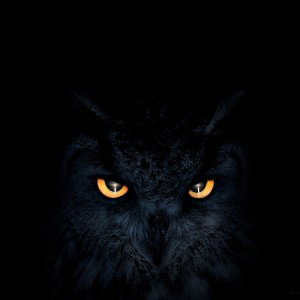 RADIO DEVIL (14:36)