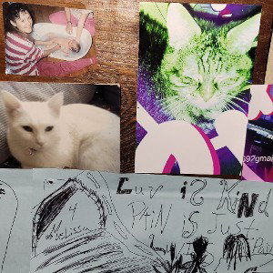 stoner cats