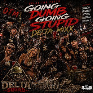 Goin Dumb Going Stupid (Delta Mixx)