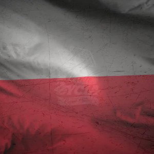 trochę lepiej dawajcie followa zbieram do 2 koła 