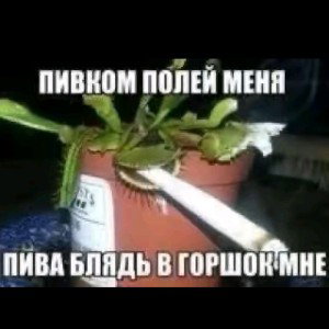 КРЕЙЗИ ПИДОРЫ