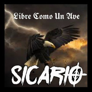 Libre Como Un Ave 