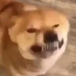 skup się 