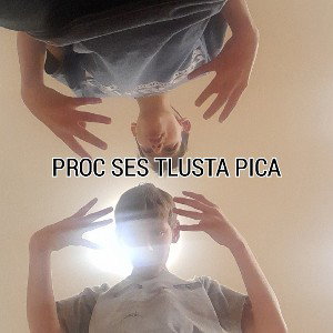 SGR KOCOUŘÍ - PROC SES TLUSTA PICA ft. SGR LUKYNEK