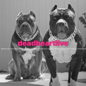 deadheartlive