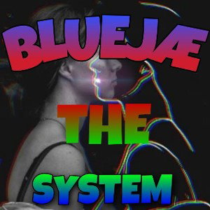 BlueJæ - THE SYSTEM