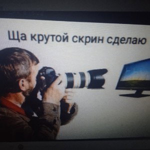 бизнесмен тапаю хомячка