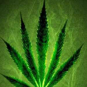 Light up ™