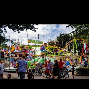 LIFE THE ROALLORCOASTER