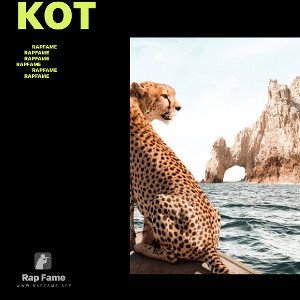 Кот