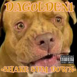 Dagolden1 - Shake sum down