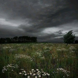 Whispers