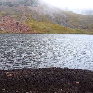 extraño 