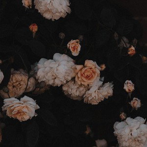 Aromas del Ayer, Sueños del Mañana
