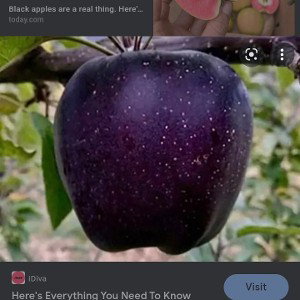black apples 🍎 