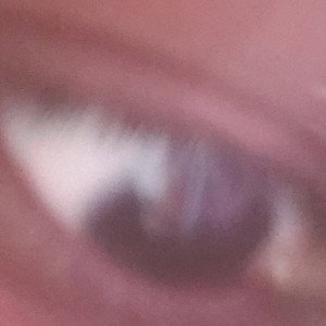 eyes 
