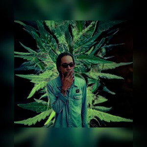 𝐀𝐃𝐉𝐀𝐒𝐓 - WEEDING
