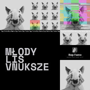 Młody Lis VnuKsze