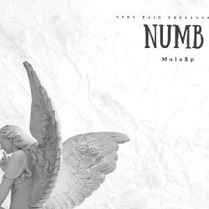 Numb 