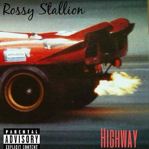 Rossy stallion - highway  