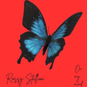 Rossy stallion - on my mind