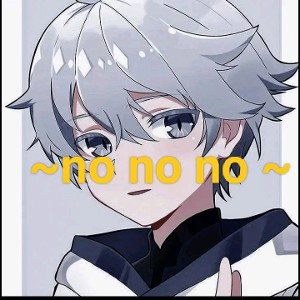 NO NO NO