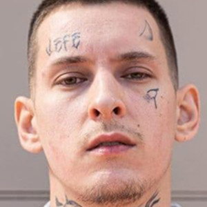 трек спустя несколько дней 
