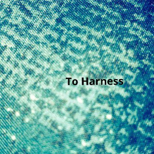 TO HARNESS