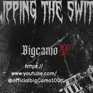 Flippin the switch