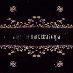 Where the Black Roses Grow (Prod. LethalNeedle)