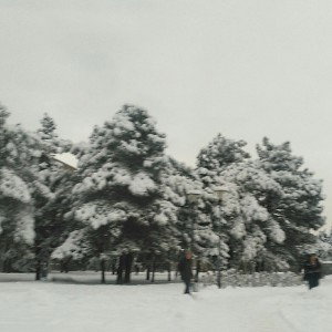 Пьём (snippet 2022)