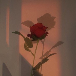 Lani Ft $auce- Trust me ♿❤️‍🔥 