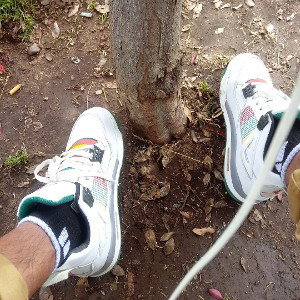 frees