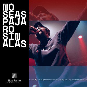 No seas pájaro sin alas