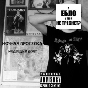 Медведь & долт--ночная прогулка