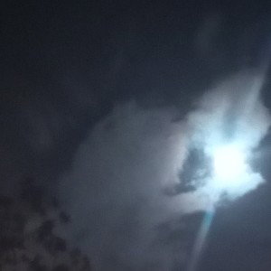 #NoHiBeams(freestyle)