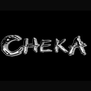  Cheka baironfn 