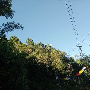 Tara Bhai Pani 