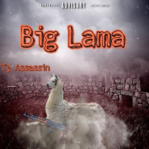 Ty Assassin - Big Lama 
